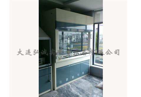 奇异果·电子（中国）官方网站经济型通风柜厂家