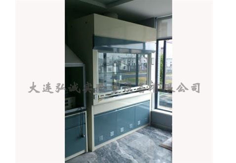奇异果·电子（中国）官方网站经济型通风柜厂家